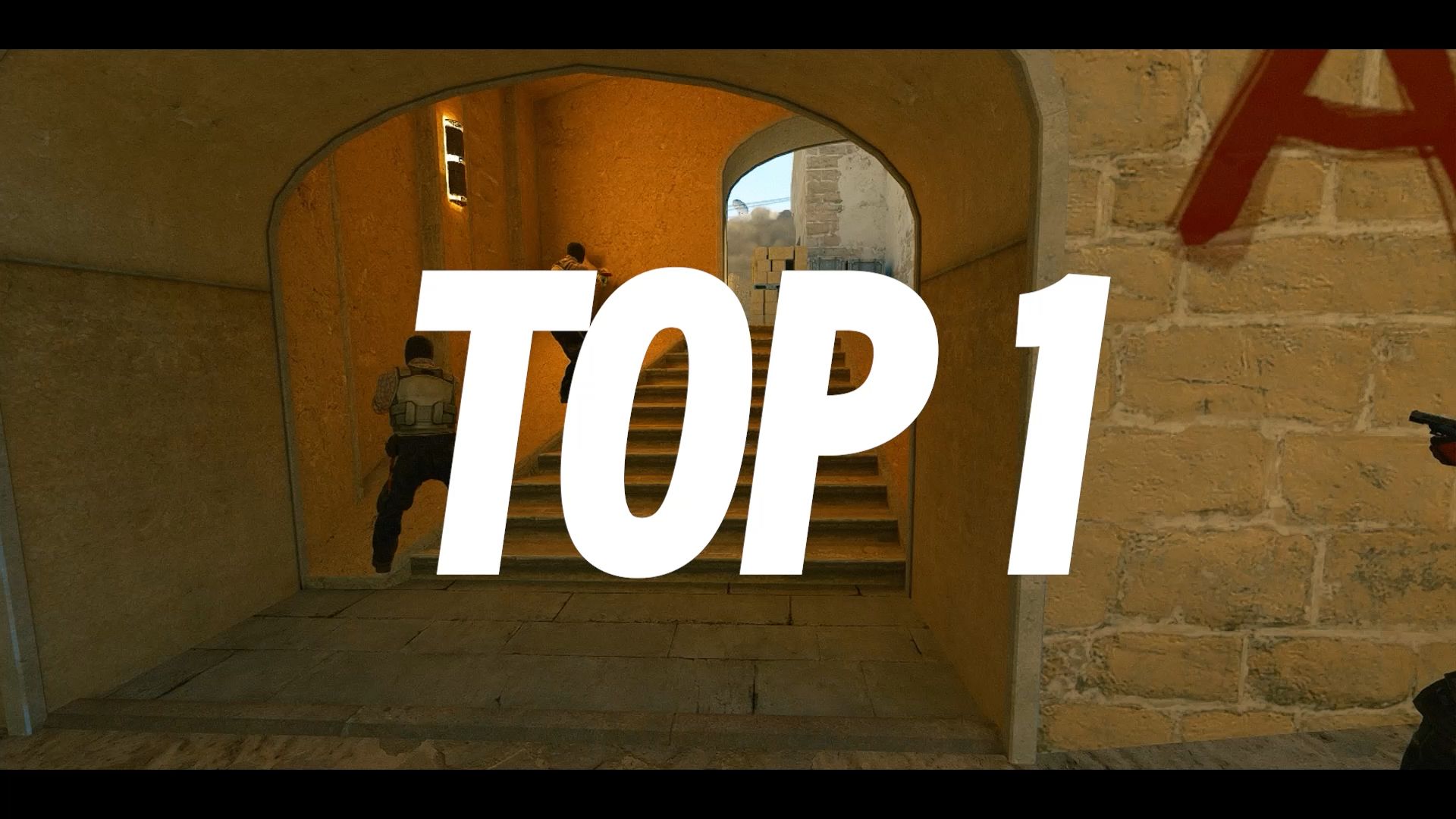 当你把样本 当你把样本